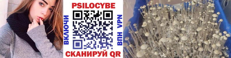 OMG ссылки  Березники  Псилоцибиновые грибы прущие грибы 